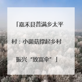 嘉禾县普满乡太平村：小菌菇撑起乡村振兴“致富伞”
