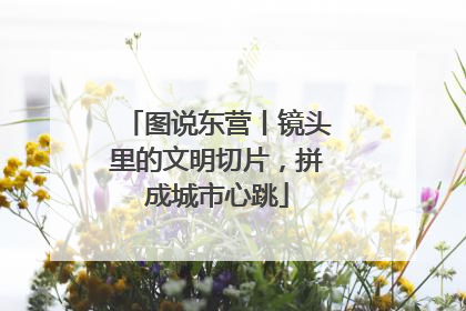 图说东营丨镜头里的文明切片，拼成城市心跳