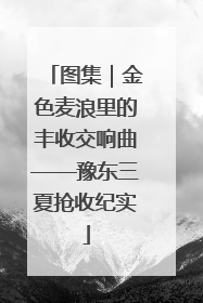 图集｜金色麦浪里的丰收交响曲——豫东三夏抢收纪实