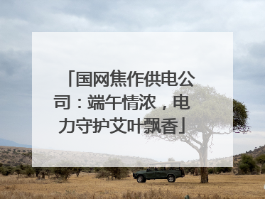 国网焦作供电公司：端午情浓，电力守护艾叶飘香