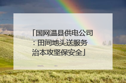国网温县供电公司：田间地头送服务 治本攻坚保安全