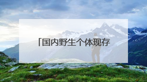 国内野生个体现存数量比大熊猫更为稀少！扬州首次发现“国宝”彩鹮