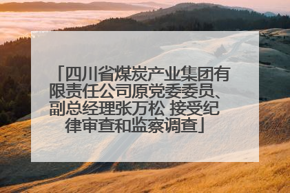 四川省煤炭产业集团有限责任公司原党委委员、副总经理张万松 接受纪律审查和监察调查
