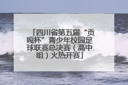 四川省第五届“贡嘎杯”青少年校园足球联赛总决赛（高中组）火热开赛