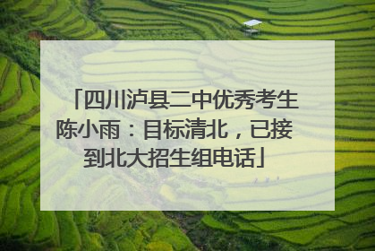 四川泸县二中优秀考生陈小雨：目标清北，已接到北大招生组电话