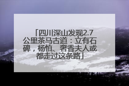 四川深山发现2.7公里茶马古道：立有石碑，杨慎、奢香夫人或都走过这条路