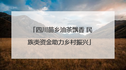 四川苗乡油茶飘香 民族类资金助力乡村振兴