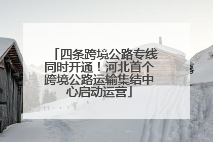 四条跨境公路专线同时开通！河北首个跨境公路运输集结中心启动运营