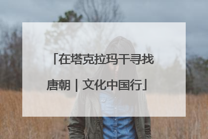 在塔克拉玛干寻找唐朝｜文化中国行