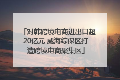 对韩跨境电商进出口超20亿元 威海综保区打造跨境电商聚集区