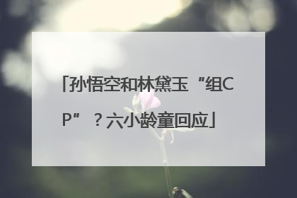 孙悟空和林黛玉“组CP”？六小龄童回应