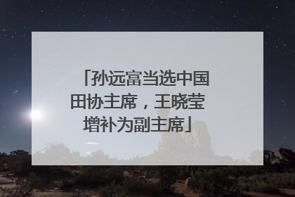 孙远富当选中国田协主席，王晓莹增补为副主席
