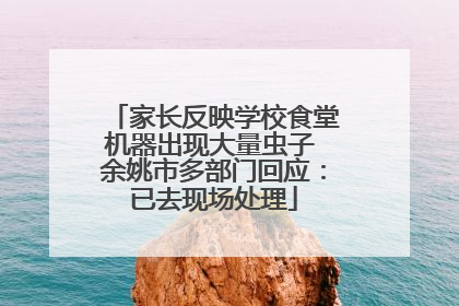 家长反映学校食堂机器出现大量虫子 余姚市多部门回应：已去现场处理