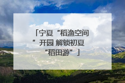 宁夏“稻渔空间”开园 解锁初夏“稻田游”