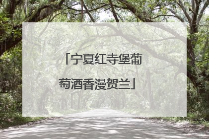 宁夏红寺堡葡萄酒香漫贺兰