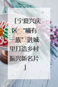宁夏兴庆区 “曦有一族”进城里打造乡村振兴新名片