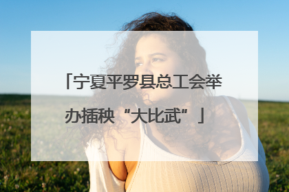 宁夏平罗县总工会举办插秧“大比武”