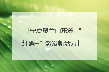 宁夏贺兰山东麓 “红酒+”激发新活力