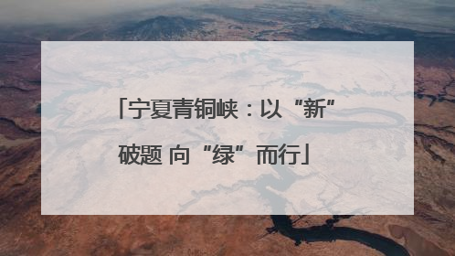 宁夏青铜峡：以“新”破题 向“绿”而行