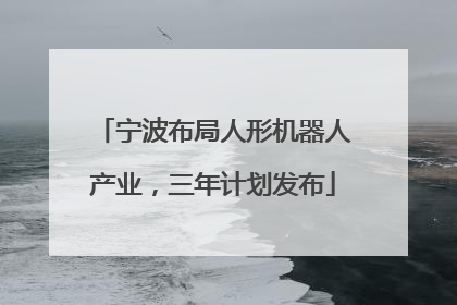 宁波布局人形机器人产业，三年计划发布
