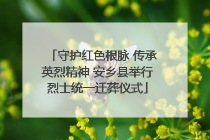 守护红色根脉 传承英烈精神 安乡县举行烈士统一迁葬仪式