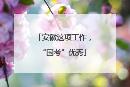 安徽这项工作，“国考”优秀