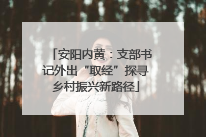 安阳内黄：支部书记外出“取经”探寻乡村振兴新路径