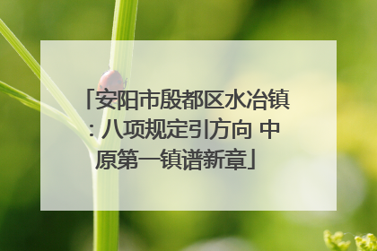 安阳市殷都区水冶镇：八项规定引方向 中原第一镇谱新章
