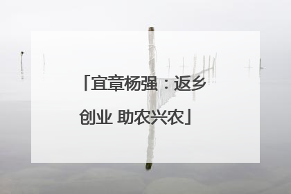 宜章杨强：返乡创业 助农兴农