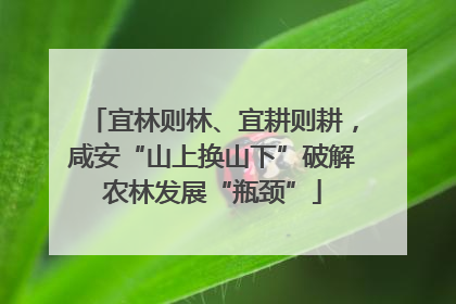 宜林则林、宜耕则耕，咸安“山上换山下”破解农林发展“瓶颈”