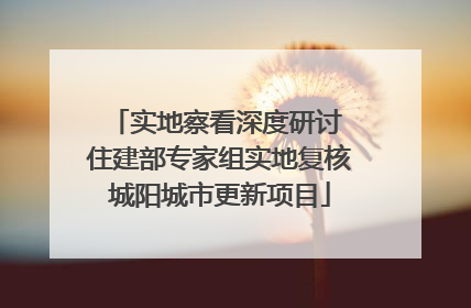 实地察看深度研讨 住建部专家组实地复核城阳城市更新项目
