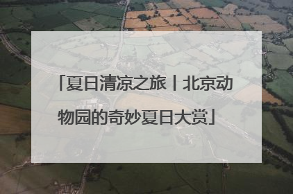 夏日清凉之旅丨北京动物园的奇妙夏日大赏