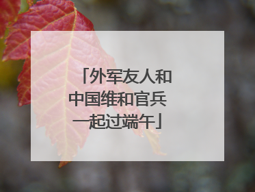 外军友人和中国维和官兵一起过端午