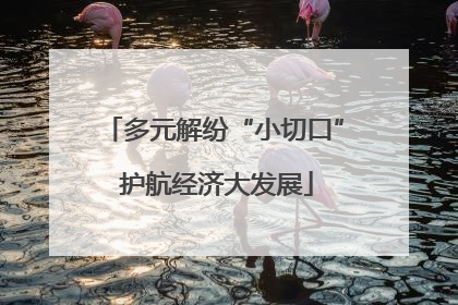 多元解纷“小切口” 护航经济大发展