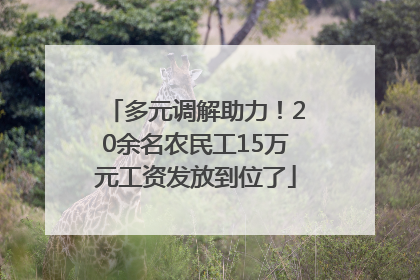 多元调解助力！20余名农民工15万元工资发放到位了