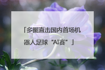 多图直击国内首场机器人足球“AI赛”