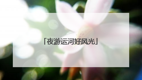 夜游运河好风光