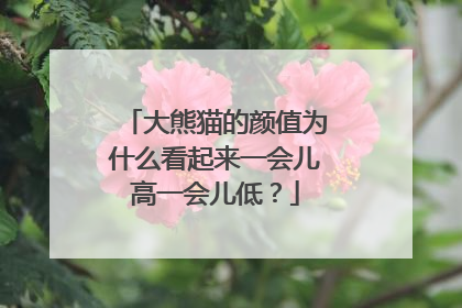 大熊猫的颜值为什么看起来一会儿高一会儿低？