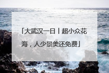 大武汉一日丨超小众花海，人少景美还免费