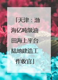 天津：渤海亿吨级油田海上平台陆地建造工作收官