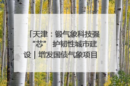 天津：锻气象科技强“芯” 护韧性城市建设｜增发国债气象项目落地见效系列报道