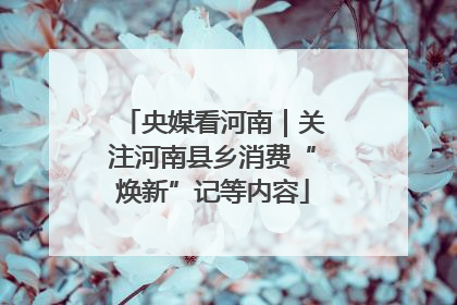 央媒看河南｜关注河南县乡消费“焕新”记等内容