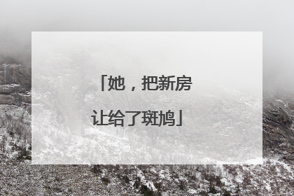 她，把新房让给了斑鸠