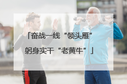 奋战一线“领头雁” 躬身实干“老黄牛”