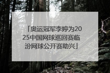 奥运冠军李婷为2025中国网球巡回赛临汾网球公开赛助兴