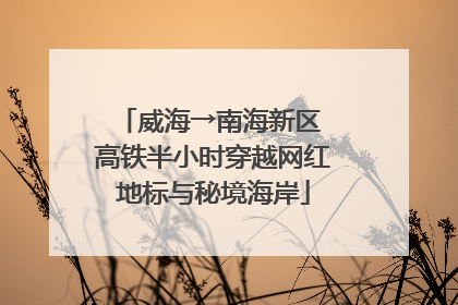 威海→南海新区 高铁半小时穿越网红地标与秘境海岸