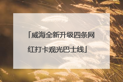 威海全新升级四条网红打卡观光巴士线