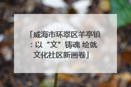 威海市环翠区羊亭镇：以“文”铸魂 绘就文化社区新画卷