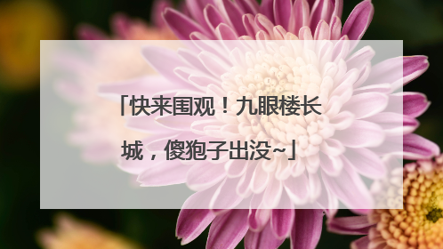 快来围观！九眼楼长城，傻狍子出没~
