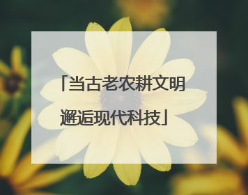 当古老农耕文明邂逅现代科技